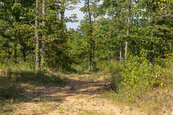property photo for Big White Oak Tract 67, 8.71 acres for sale in Perry County, Tennessee