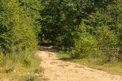 property photo for Big White Oak Tract 67, 8.71 acres for sale in Perry County, Tennessee