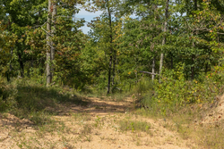 property photo for Big White Oak Tract 69, 9.91 acres for sale in Perry County, Tennessee
