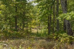 property photo for Big White Oak Tract 69, 9.91 acres for sale in Perry County, Tennessee