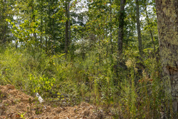 property photo for Big White Oak Tract 69, 9.91 acres for sale in Perry County, Tennessee