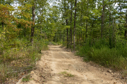 property photo for Big White Oak Tract 71, 8.41 acres for sale in Perry County, Tennessee