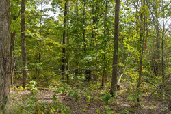 property photo for Big White Oak Tract 71, 8.41 acres for sale in Perry County, Tennessee