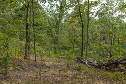 property photo for Big White Oak Tract 72, 8.17 acres for sale in Perry County, Tennessee