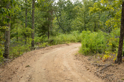 property photo for Big White Oak Tract 72, 8.17 acres for sale in Perry County, Tennessee