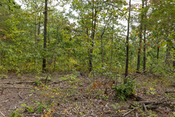 property photo for Big White Oak Tract 72, 8.17 acres for sale in Perry County, Tennessee
