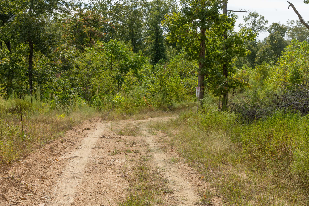 9.94 acre rural land tract for sale at Big White Oak Tract 74 in Perry County, Tennessee
