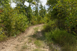 property photo for Big White Oak Tract 75, 9.26 acres for sale in Perry County, Tennessee