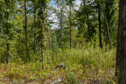 property photo for Big White Oak Tract 75, 9.26 acres for sale in Perry County, Tennessee