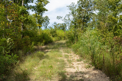 property photo for Big White Oak Tract 75, 9.26 acres for sale in Perry County, Tennessee