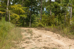 property photo for Big White Oak Tract 76, 5.39 acres for sale in Perry County, Tennessee
