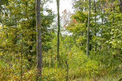 property photo for Big White Oak Tract 76, 5.39 acres for sale in Perry County, Tennessee