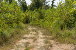 property photo for Big White Oak Tract 76, 5.39 acres for sale in Perry County, Tennessee