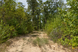 property photo for Big White Oak Tract 77, 6.61 acres for sale in Perry County, Tennessee