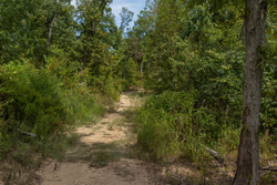 property photo for Big White Oak Tract 78, 5.16 acres for sale in Perry County, Tennessee