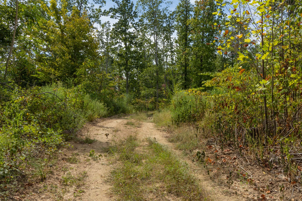 5.16 acre rural land tract for sale at Big White Oak Tract 78 in Perry County, Tennessee