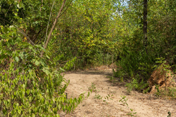 property photo for Big White Oak Tract 79, 6.73 acres for sale in Perry County, Tennessee