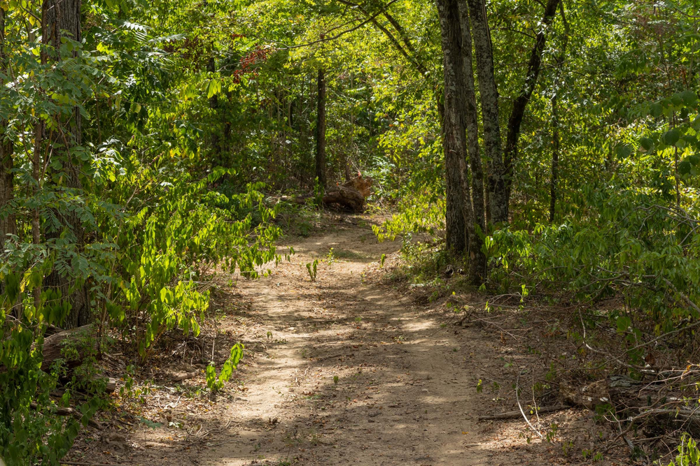 6.73 acre rural land tract for sale at Big White Oak Tract 79 in Perry County, Tennessee