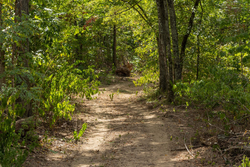 property photo for Big White Oak Tract 79, 6.73 acres for sale in Perry County, Tennessee