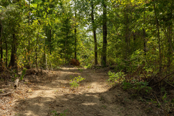 property photo for Big White Oak Tract 80, 8.2 acres for sale in Perry County, Tennessee