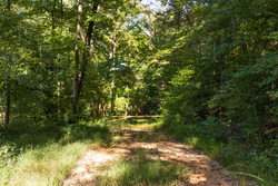 property photo for Big White Oak Tract 81, 14 acres for sale in Perry County, Tennessee