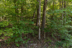 property photo for Big White Oak Tract 81, 14 acres for sale in Perry County, Tennessee