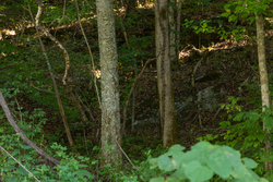 property photo for Big White Oak Tract 82, 8.14 acres for sale in Perry County, Tennessee