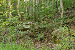 property photo for Big White Oak Tract 82, 8.14 acres for sale in Perry County, Tennessee