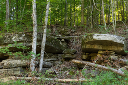 property photo for Big White Oak Tract 82, 8.14 acres for sale in Perry County, Tennessee