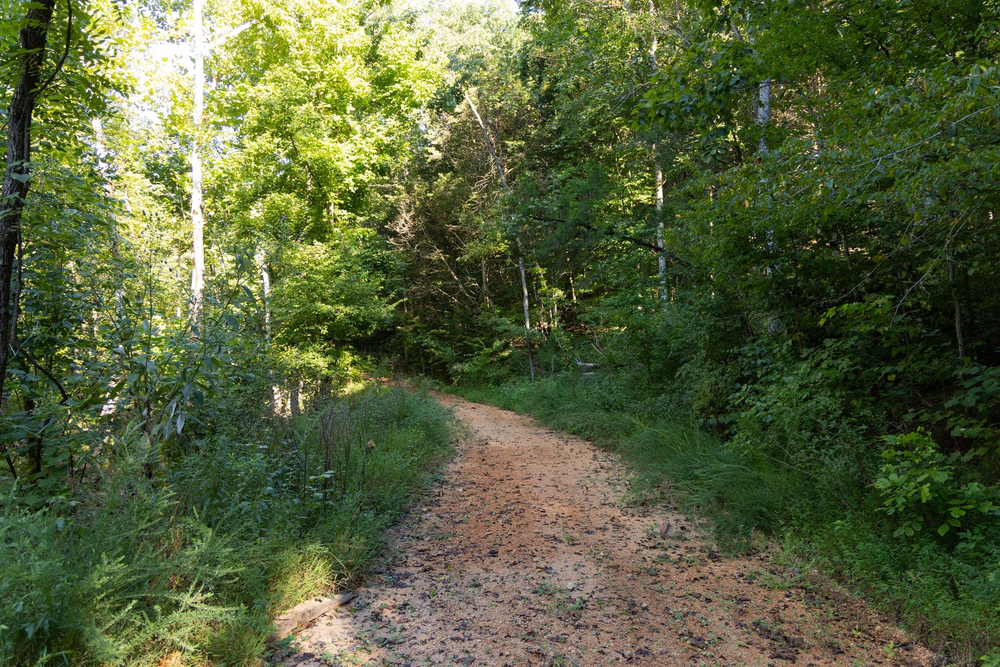8.14 acre rural land tract for sale at Big White Oak Tract 82 in Perry County, Tennessee