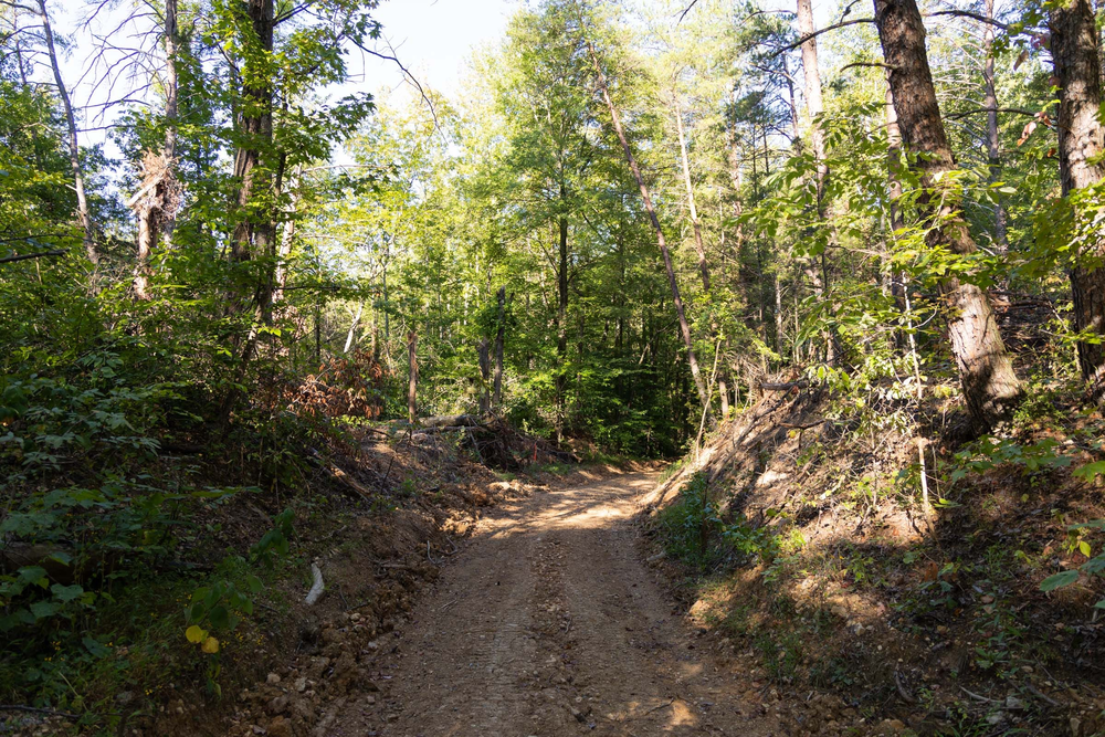13.06 acre rural land tract for sale at Big White Oak Tract 85 in Perry County, Tennessee