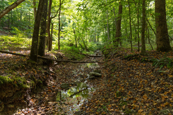 property photo for Big White Oak Tract 87, 10.28 acres for sale in Perry County, Tennessee