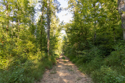 property photo for Big White Oak Tract 87, 10.28 acres for sale in Perry County, Tennessee