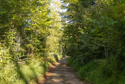 property photo for Big White Oak Tract 87, 10.28 acres for sale in Perry County, Tennessee