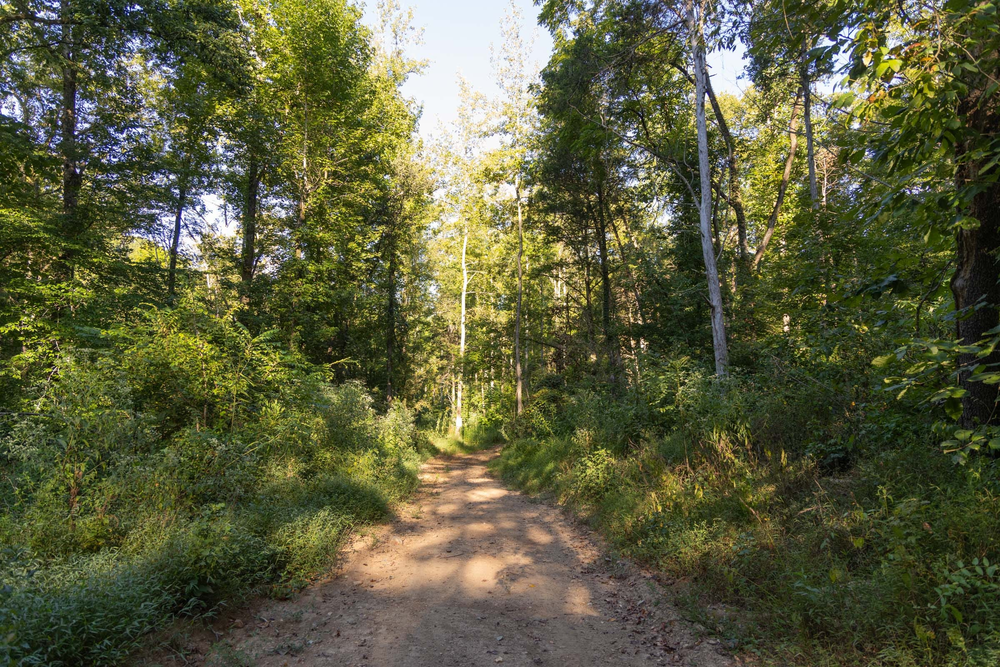 10.49 acre rural land tract for sale at Big White Oak Tract 89 in Perry County, Tennessee