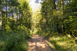 property photo for Big White Oak Tract 90, 12.01 acres for sale in Perry County, Tennessee