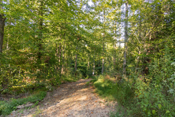 property photo for Big White Oak Tract 90, 12.01 acres for sale in Perry County, Tennessee