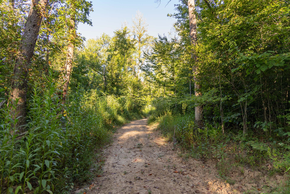 12.01 acre rural land tract for sale at Big White Oak Tract 90 in Perry County, Tennessee