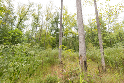 property photo for Big White Oak Tract 93, 14.06 acres for sale in Perry County, Tennessee
