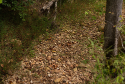 property photo for Big White Oak Tract 95, 14.68 acres for sale in Perry County, Tennessee