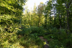 property photo for Big White Oak Tract 95, 14.68 acres for sale in Perry County, Tennessee