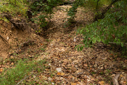 property photo for Big White Oak Tract 95, 14.68 acres for sale in Perry County, Tennessee