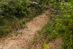 property photo for Big White Oak Tract 95, 14.68 acres for sale in Perry County, Tennessee
