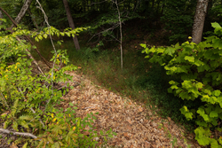 property photo for Big White Oak Tract 95, 14.68 acres for sale in Perry County, Tennessee