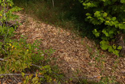 property photo for Big White Oak Tract 95, 14.68 acres for sale in Perry County, Tennessee