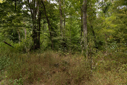 property photo for Big White Oak Tract 95, 14.68 acres for sale in Perry County, Tennessee