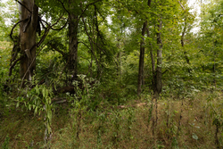 property photo for Big White Oak Tract 95, 14.68 acres for sale in Perry County, Tennessee