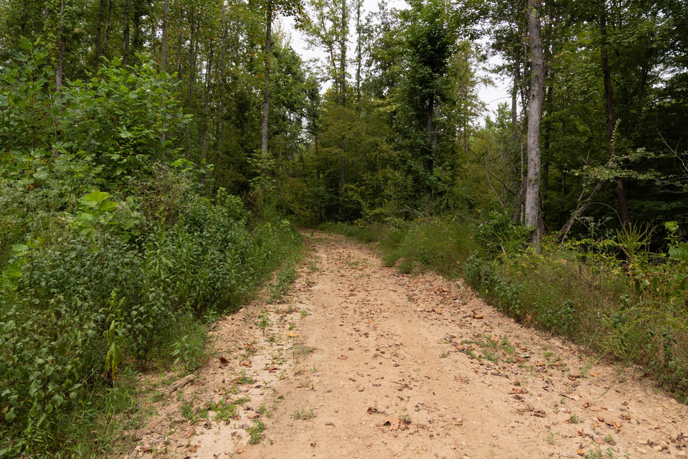14.68 acre rural land tract for sale at Big White Oak Tract 95 in Perry County, Tennessee