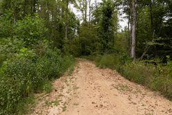 property photo for Big White Oak Tract 95, 14.68 acres for sale in Perry County, Tennessee