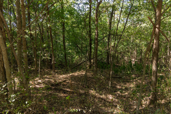 property photo for Big White Oak Tract 97, 7.85 acres for sale in Perry County, Tennessee